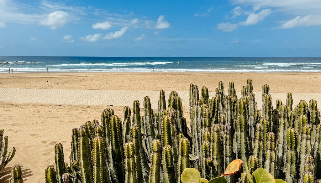 Die 10 Schönsten Strände Auf Gran Canaria Inkl Karte Und Tipps